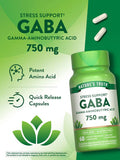 GABA 750 mg (Gamma Aminobutyric Acid)