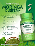 Moringa Oleifera 6000 mg