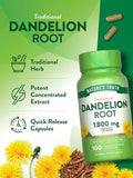 Dandelion Root Extract 1800mg