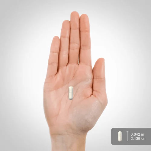 Probiotic 14 Strains 25 Billion