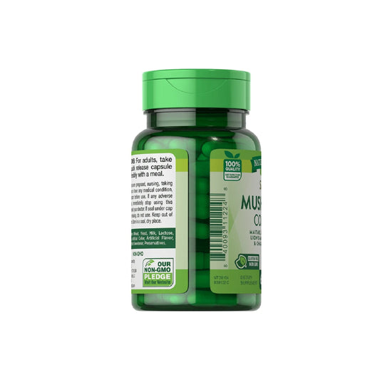 Super 6 Mushroom Complex