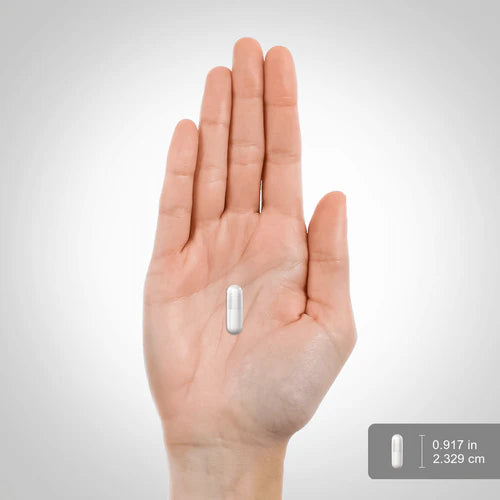 Pantothenic Acid 500 mg