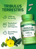 Tribulus Terrestris 1000 mg